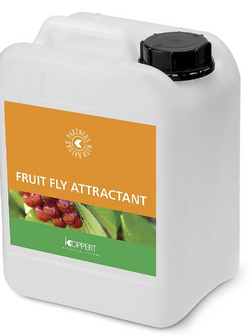 Fruit Fly Attractant