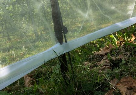 Drosophila suzukii net met klittenband